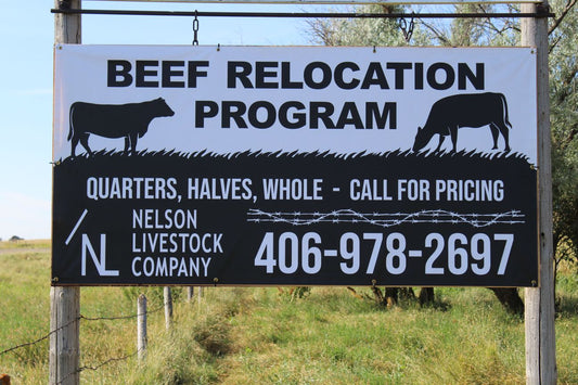 Nelson Livestock Co's Beef Re-location project 8