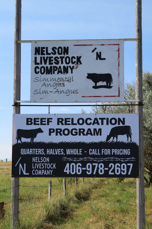 Nelson Livestock Co's Beef Re-location project 4